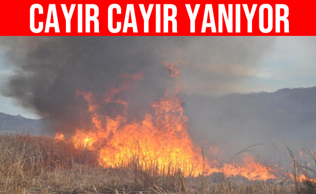 Hakkari’deki Nehir Sazlığı Cayır Cayır Yanıyor