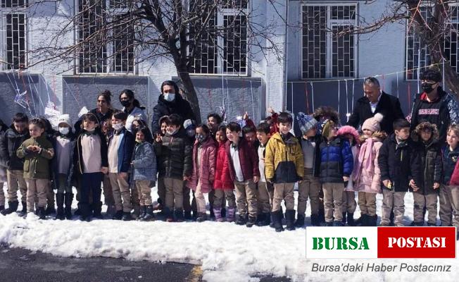 Ağaçlar kitap açtı