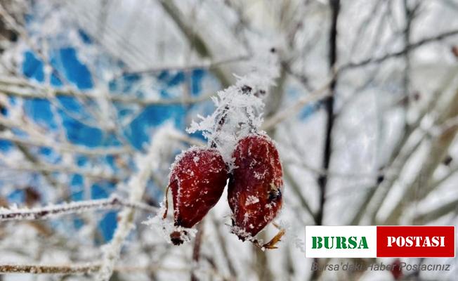 Ağrı’da ilkbaharda da soğuklar etkisini sürdürüyor