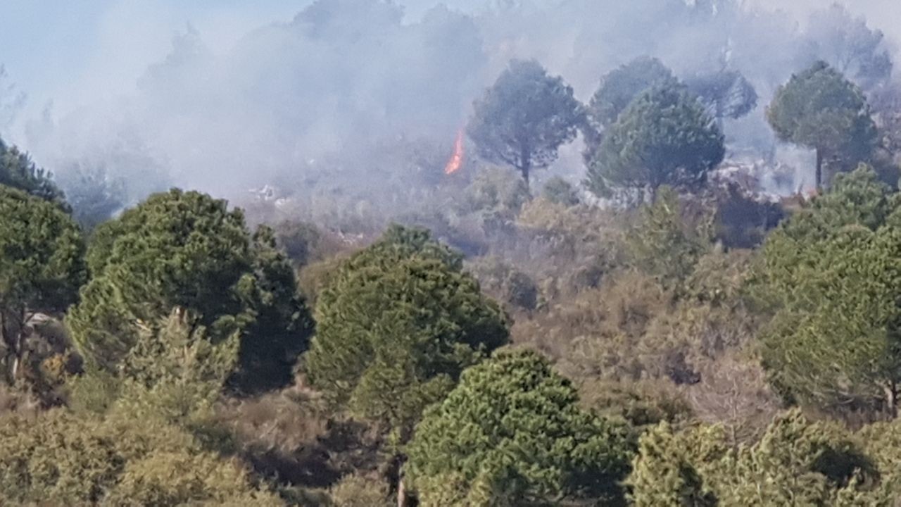 Alanya’da ormanlık parkı