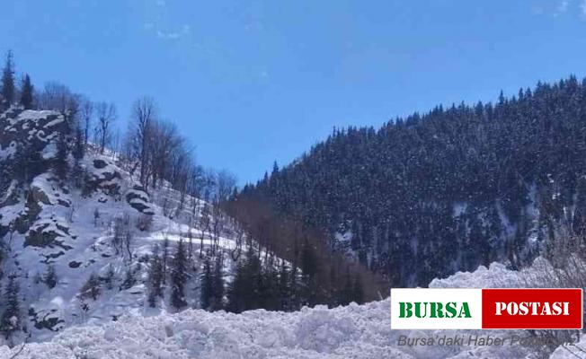 Artvin’de çığ köy yolunu ulaşıma kapattı