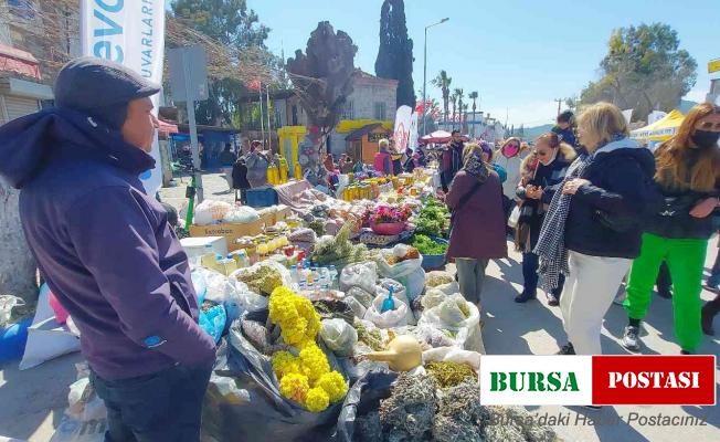 Bodrum’da bu defa ’ot festivali’ düzenlendi