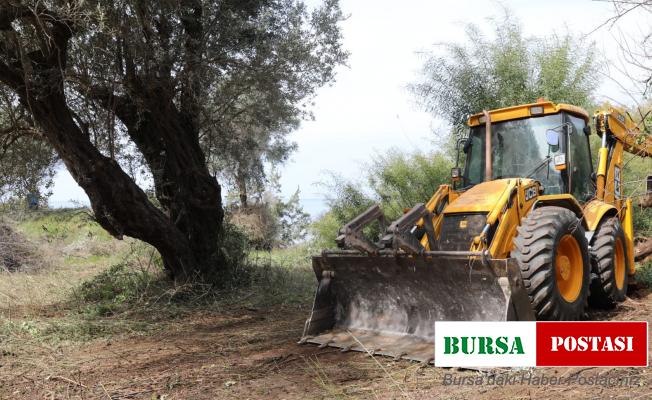 Didim Belediyesi orman yangınlarına karşı çalışmalarını sürdürüyor