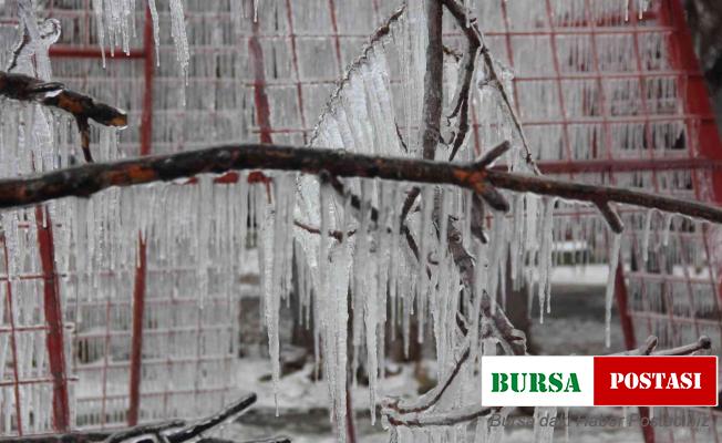 Doğu’da soğuk hava etkisini sürdürüyor