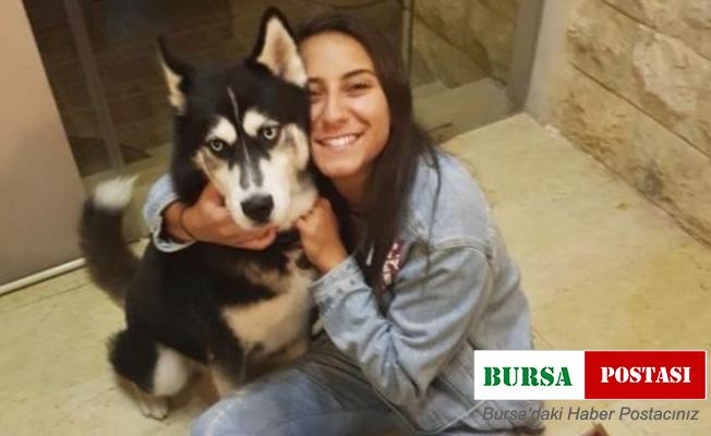 Fransa’da yanlış tanı konan köpeğin kanseri, İstanbul’da tedavi edildi