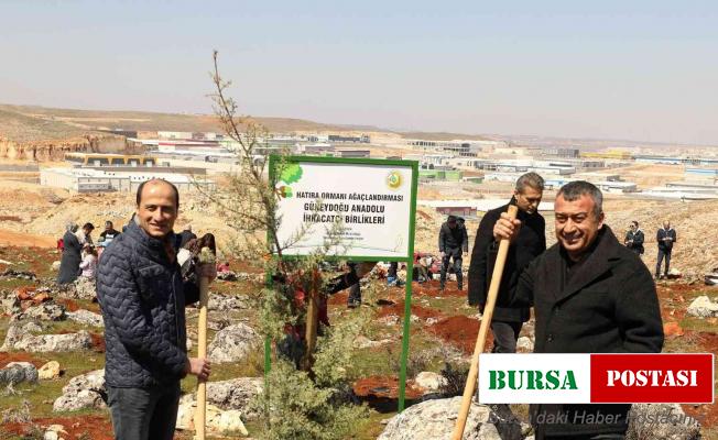 GAİB adına hatıra ormanı kuruldu