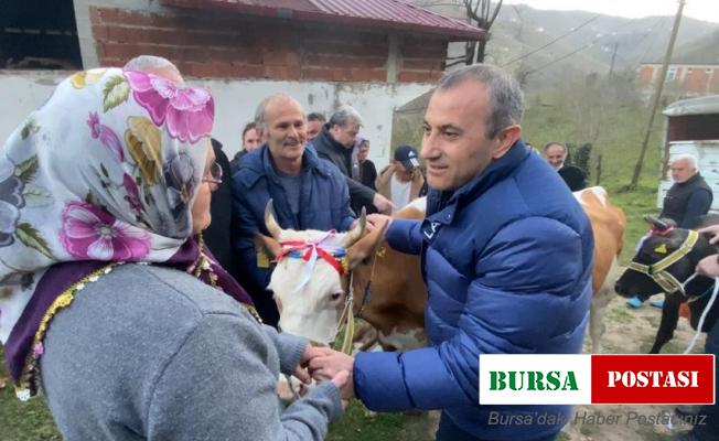 Heyelanda hayvanlarını kaybeden aileye Vali Sonel’den yeni hayvan desteği