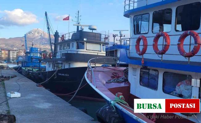 İnebolu Su Ürünleri Kooperatifi Başkanı Çelebi: “Mutluyuz, emeği geçenlere teşekkür ediyorum”