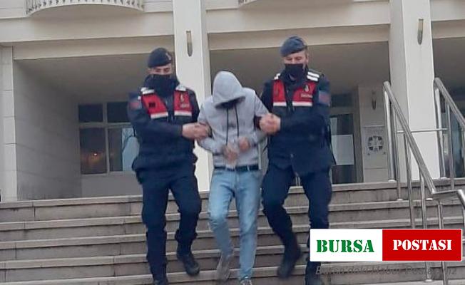 Jandarma, aranan 2 şahsı operasyonla yakaladı