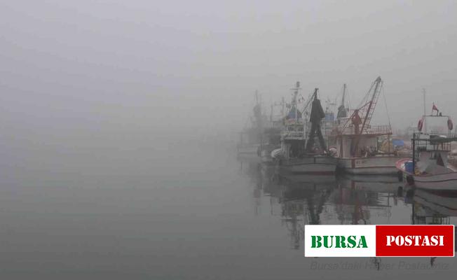 Karadeniz’in İğneada kıyılarında yoğun sis