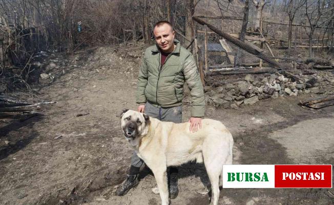 Kendilerini yangından kurtaran köpeği gözyaşları içinde sevdiler