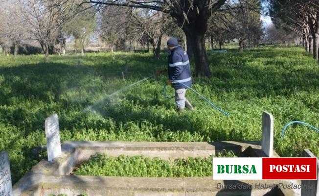 Köşk Belediyesi, yabani otla mücadeleye başladı