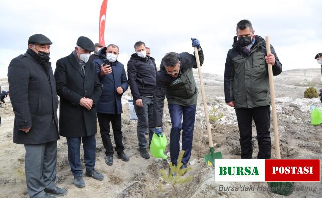 Kütahya’da 10 yılda 16 milyon fidanı toprakla buluştu