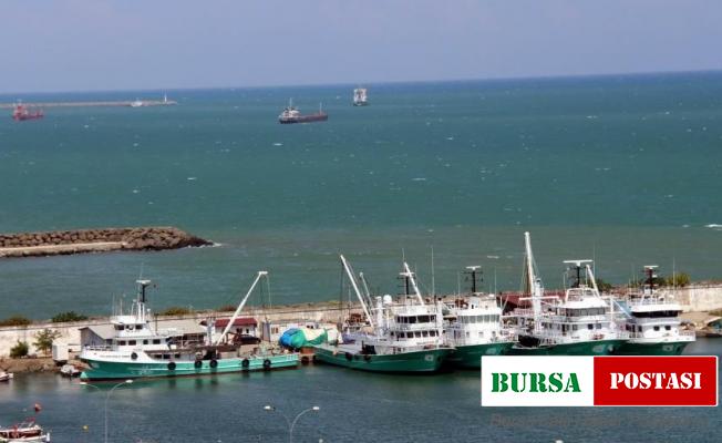 Mayın sıkıntısı yaşanmayan Samsun’da balıkçılar çaça avına başladı