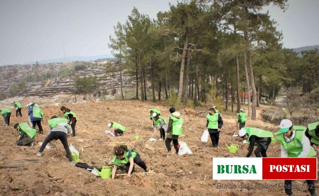 Milas’ta binlerce fidan toprakla buluştu