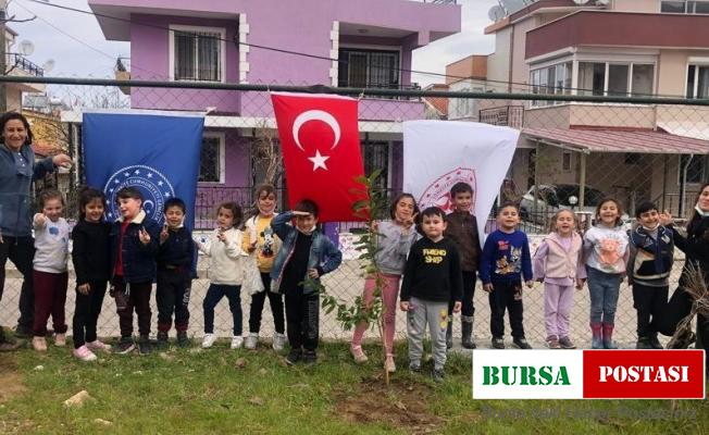 Minik eller, fidanları toprakla buluşturdu