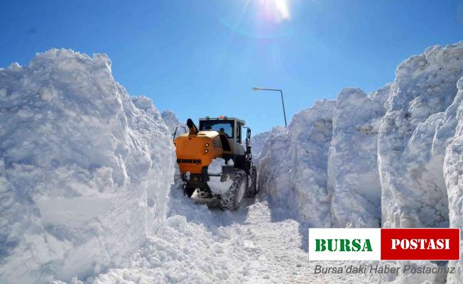 Muş’ta 5 metrelik karda yol açma çalışması