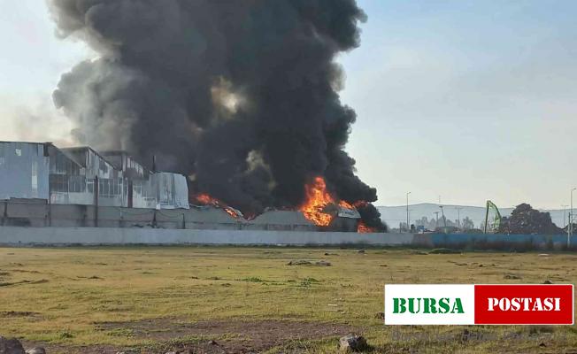 Osmaniye’de geri dönüşüm fabrikasında yangın