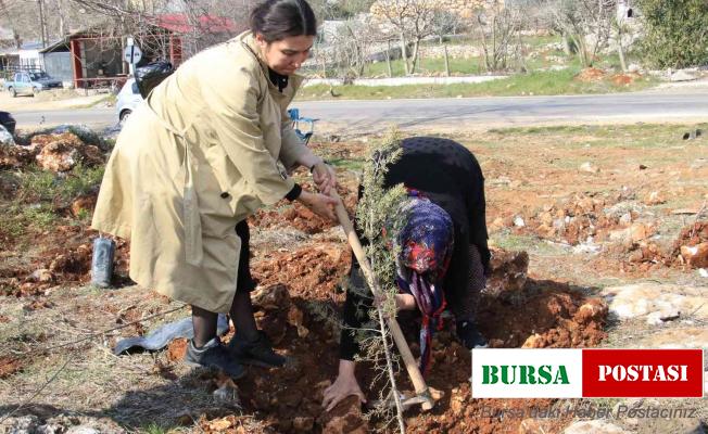 Şehitler adına iki orman kuruldu, ilk fidanları aileleri dikti