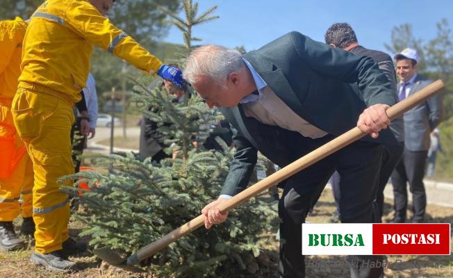 Taşova’da Orman Haftası’nda fidan diktiler